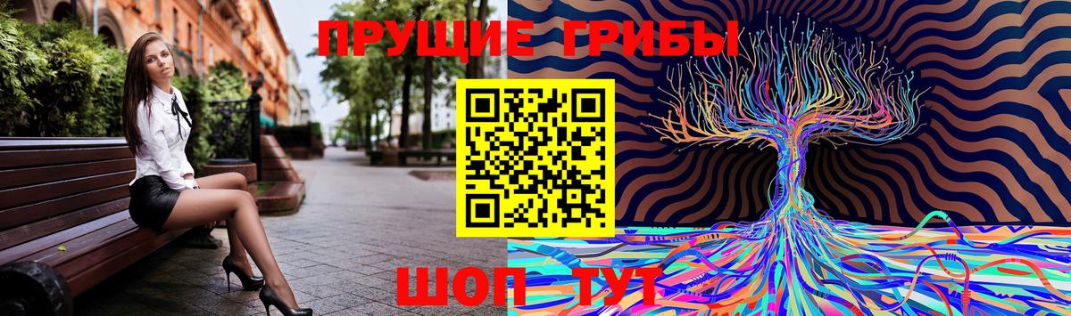 Галлюциногенные грибы GOLDEN TEACHER  Вход с VPN  Буйнакск 